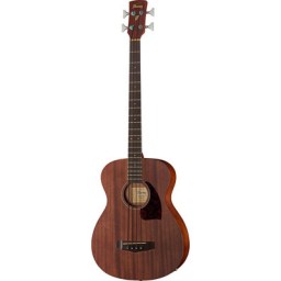 BAJO ACUSTICO IBANEZ...