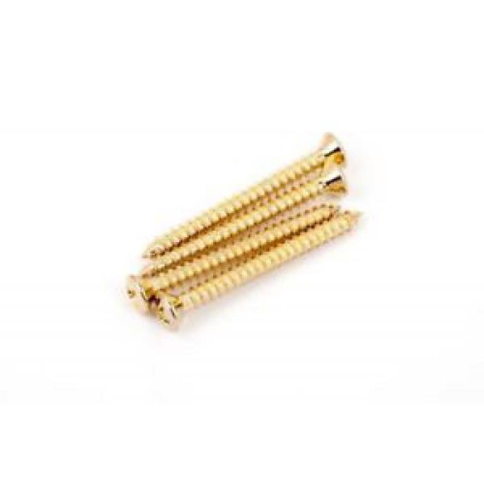 TORNILLO MASTIL FENDER NECK MOUNTING SCREWS (4)
