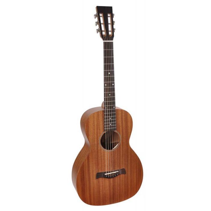 GUITARRA ACUSTICA PARLOR RICHWOOD P-50