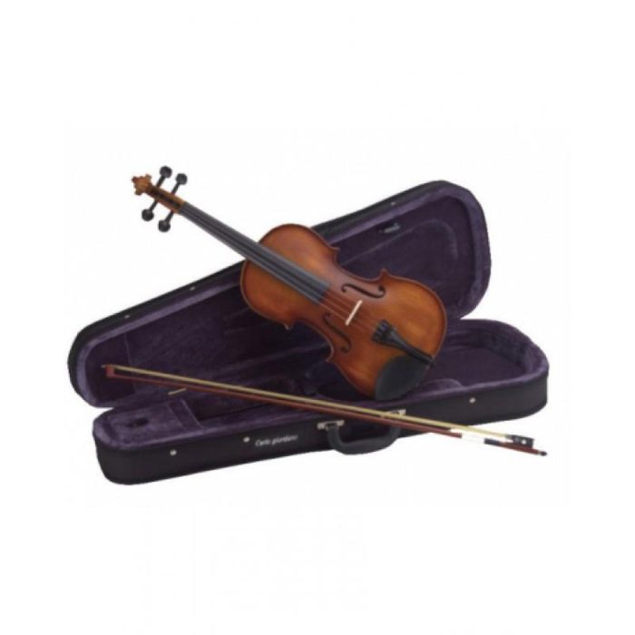 VIOLIN CARLO GIORDANO VS012 1/2